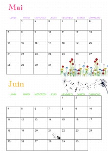 Calendrier 2018 mai juin ief