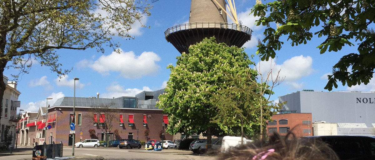 3 jours autour de Rotterdam le plus grand moulin au monde